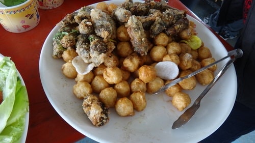 【嘉義】東石港船之旅 - 第21張圖 【嘉義】東石港船之旅