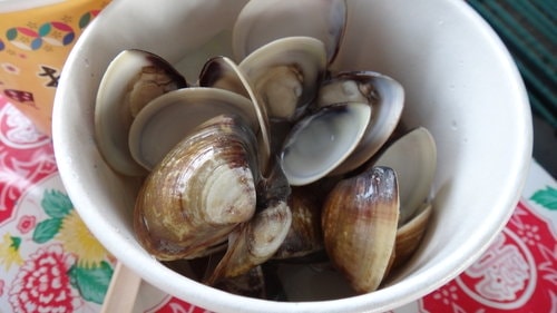 【嘉義】東石港船之旅 - 第22張圖 【嘉義】東石港船之旅