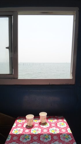 【嘉義】東石港船之旅 - 第31張圖 【嘉義】東石港船之旅