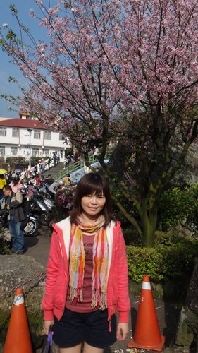 【淡水】2012天元宮賞櫻 - 第3張圖 【淡水】2012天元宮賞櫻