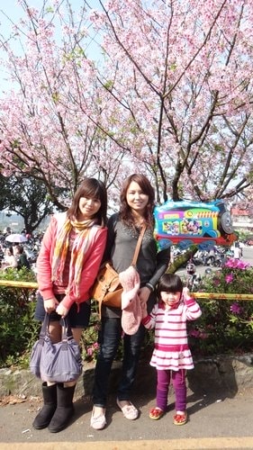 【淡水】2012天元宮賞櫻 - 第5張圖 【淡水】2012天元宮賞櫻