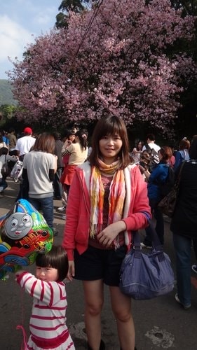 【淡水】2012天元宮賞櫻 - 第10張圖 【淡水】2012天元宮賞櫻