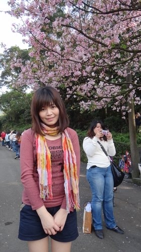 【淡水】2012天元宮賞櫻 - 第11張圖 【淡水】2012天元宮賞櫻