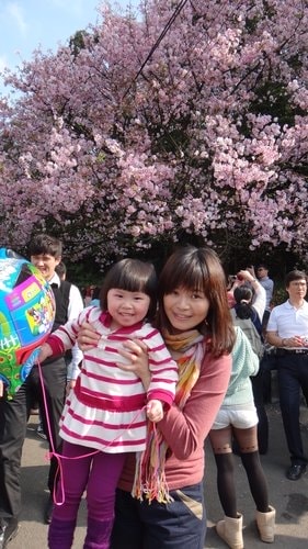 【淡水】2012天元宮賞櫻 - 第13張圖 【淡水】2012天元宮賞櫻