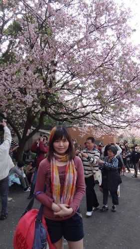 【淡水】2012天元宮賞櫻 - 第16張圖 【淡水】2012天元宮賞櫻