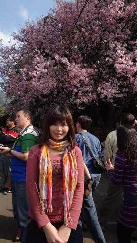 【淡水】2012天元宮賞櫻 - 第15張圖 【淡水】2012天元宮賞櫻