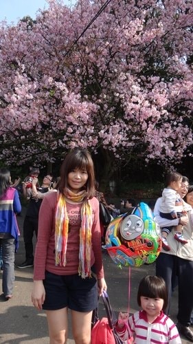 【淡水】2012天元宮賞櫻 - 第18張圖 【淡水】2012天元宮賞櫻