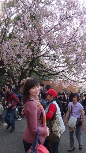 【淡水】2012天元宮賞櫻 - 第17張圖 【淡水】2012天元宮賞櫻