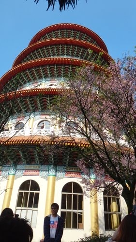 【淡水】2012天元宮賞櫻 - 第25張圖 【淡水】2012天元宮賞櫻