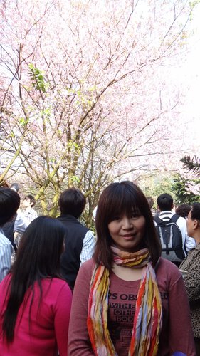 【淡水】2012天元宮賞櫻 - 第33張圖 【淡水】2012天元宮賞櫻