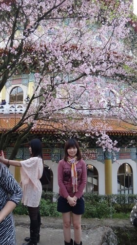 【淡水】2012天元宮賞櫻 - 第34張圖 【淡水】2012天元宮賞櫻