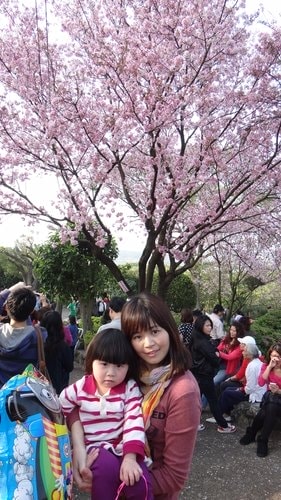 【淡水】2012天元宮賞櫻 - 第42張圖 【淡水】2012天元宮賞櫻