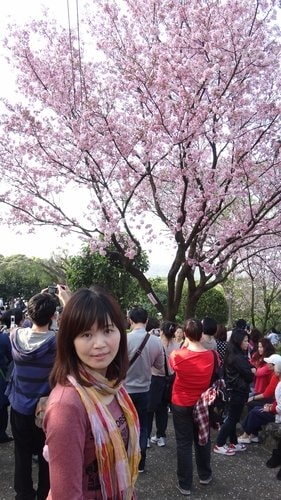 【淡水】2012天元宮賞櫻 - 第43張圖 【淡水】2012天元宮賞櫻