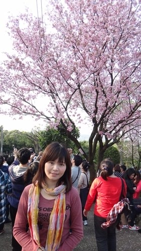 【淡水】2012天元宮賞櫻 - 第44張圖 【淡水】2012天元宮賞櫻