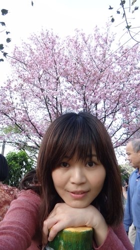 【淡水】2012天元宮賞櫻 - 第45張圖 【淡水】2012天元宮賞櫻