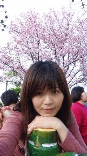 【淡水】2012天元宮賞櫻 - 第47張圖 【淡水】2012天元宮賞櫻