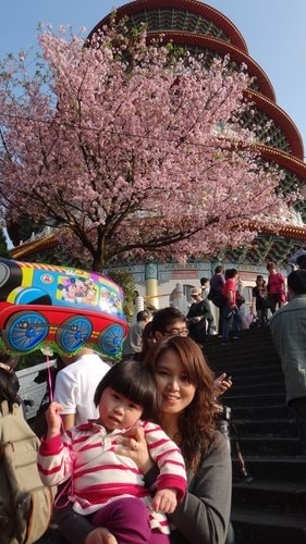 【淡水】2012天元宮賞櫻 - 第64張圖 【淡水】2012天元宮賞櫻