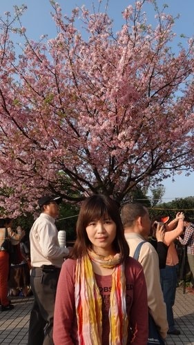 【淡水】2012天元宮賞櫻