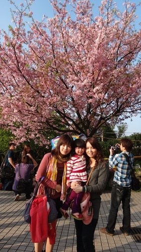 【淡水】2012天元宮賞櫻 - 第66張圖 【淡水】2012天元宮賞櫻