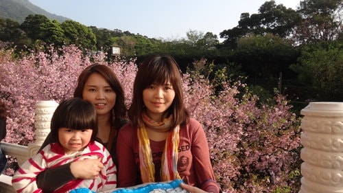 【淡水】2012天元宮賞櫻 - 第74張圖 【淡水】2012天元宮賞櫻