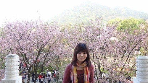 【淡水】2012天元宮賞櫻 - 第77張圖 【淡水】2012天元宮賞櫻