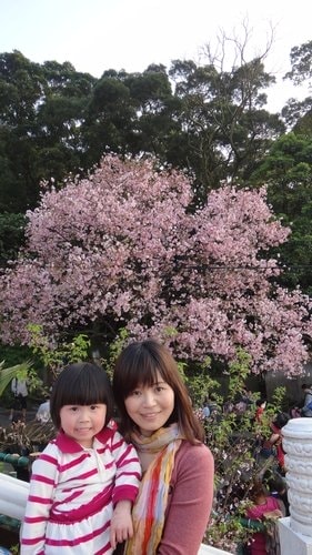 【淡水】2012天元宮賞櫻 - 第83張圖 【淡水】2012天元宮賞櫻