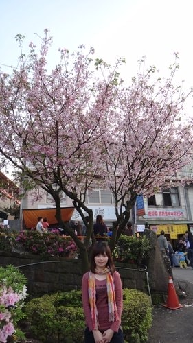 【淡水】2012天元宮賞櫻