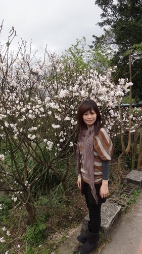 【台北】陽明山．擎天崗