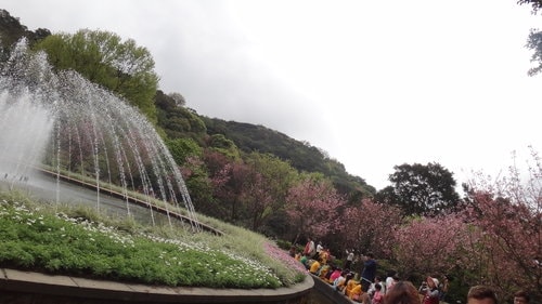 【台北】陽明山．擎天崗