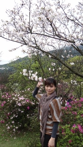 【台北】陽明山．擎天崗