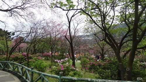 【台北】陽明山．擎天崗