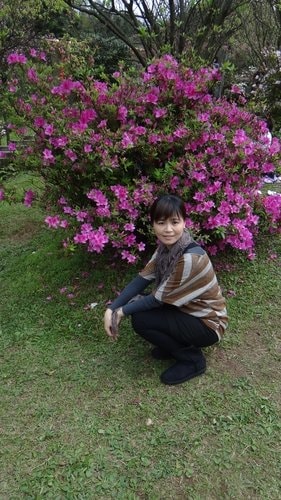 【台北】陽明山．擎天崗