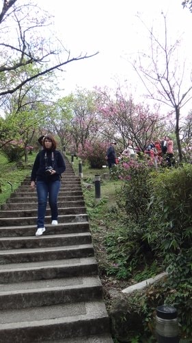 【台北】陽明山．擎天崗