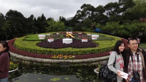 【台北】陽明山．擎天崗