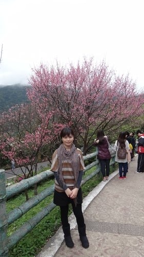 【台北】陽明山．擎天崗