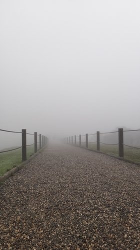 【台北】陽明山．擎天崗