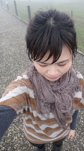 【台北】陽明山．擎天崗