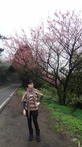 【台北】陽明山．擎天崗