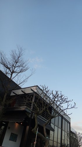 【平鎮】托斯卡尼尼 - 第8張圖 【平鎮】托斯卡尼尼