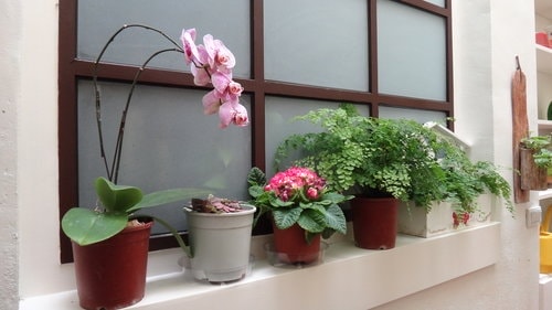 【南崁】義樂洋食館 - 第18張圖 【南崁】義樂洋食館