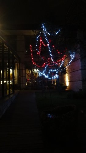 【桃園】尼尼義大利庭園餐廳 - 第3張圖 【桃園】尼尼義大利庭園餐廳