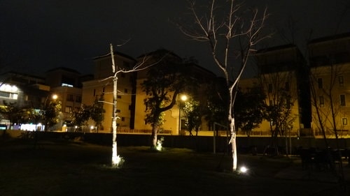 【桃園】尼尼義大利庭園餐廳 - 第13張圖 【桃園】尼尼義大利庭園餐廳