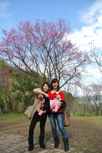 【桃園】石門水庫賞花 - 第32張圖 【桃園】石門水庫賞花