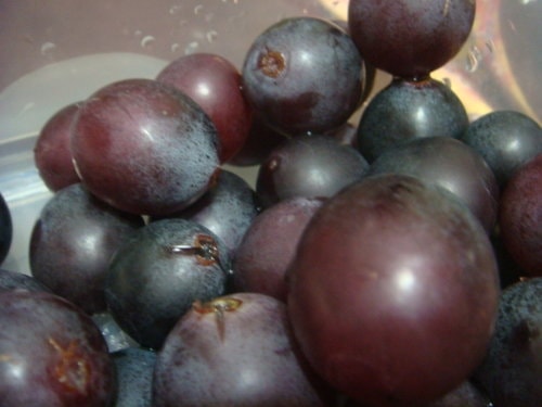 【DIY】自己做晚餐 - 第43張圖 【DIY】自己做晚餐