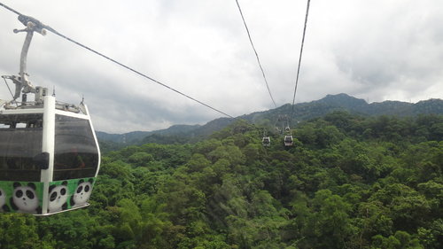 【台北】貓空纜車 - 第15張圖 【台北】貓空纜車