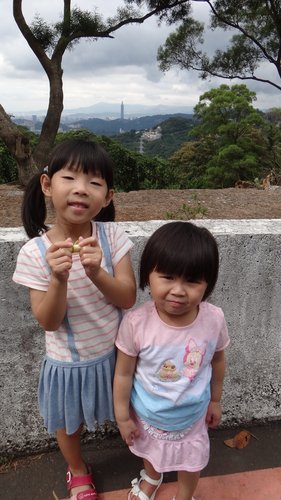 【台北】貓空纜車 - 第16張圖 【台北】貓空纜車