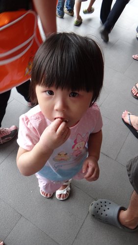 【台北】貓空纜車 - 第21張圖 【台北】貓空纜車