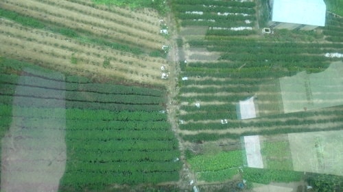 【台北】貓空纜車 - 第30張圖 【台北】貓空纜車