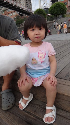 【台北】貓空纜車 - 第47張圖 【台北】貓空纜車