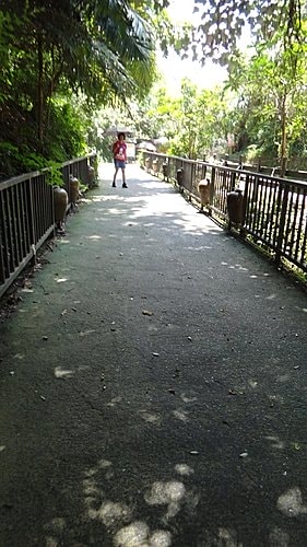 【南投】水里蛇窯&集集車站 - 第4張圖 【南投】水里蛇窯&集集車站